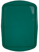 Поднос Luxstahl 490х360 мм зеленый